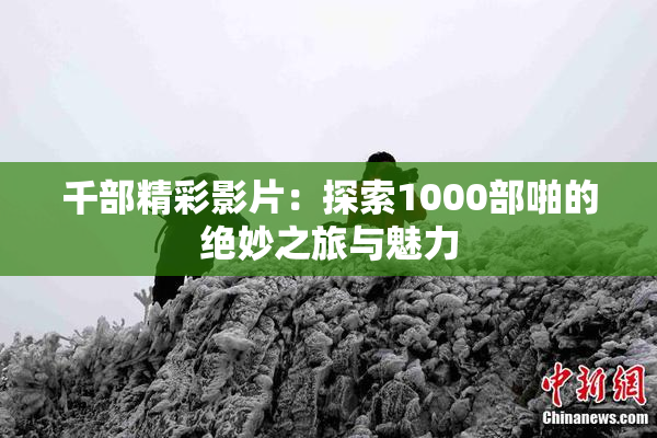 千部精彩影片：探索1000部啪的绝妙之旅与魅力