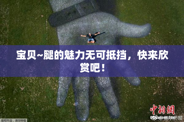 宝贝~腿的魅力无可抵挡，快来欣赏吧！