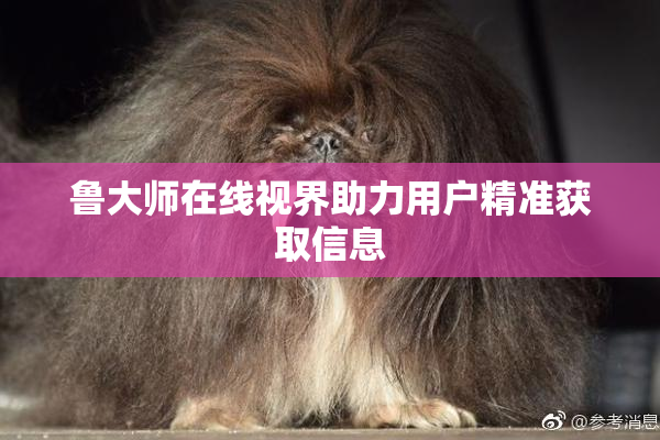 鲁大师在线视界助力用户精准获取信息