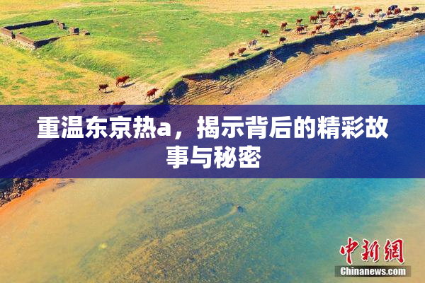 重温东京热a，揭示背后的精彩故事与秘密