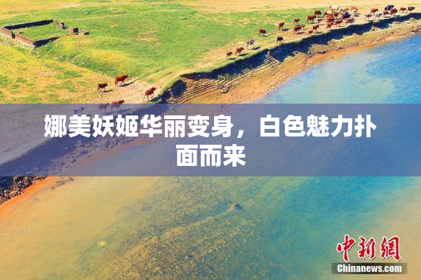 娜美妖姬华丽变身，白色魅力扑面而来