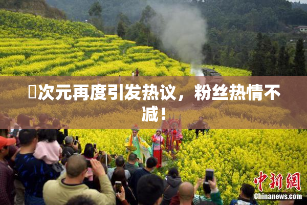 囧次元再度引发热议，粉丝热情不减！