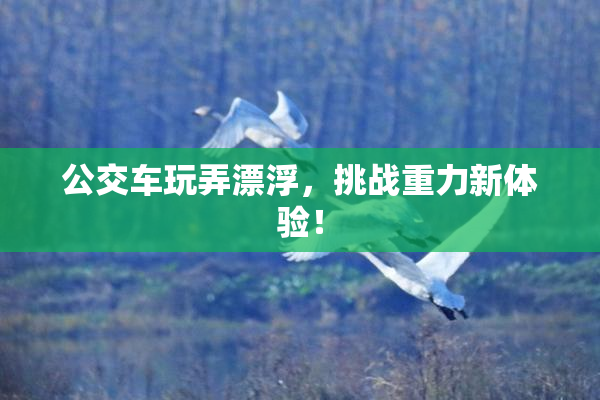 公交车玩弄漂浮，挑战重力新体验！