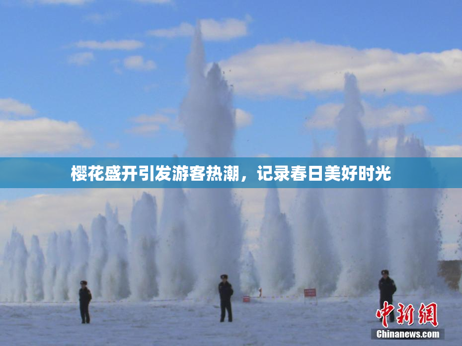 樱花盛开引发游客热潮，记录春日美好时光