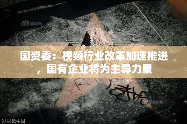 国资委：视频行业改革加速推进，国有企业将为主导力量