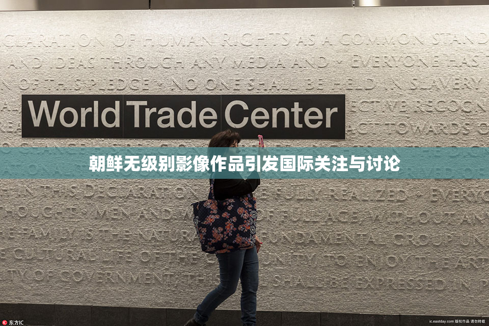 朝鲜无级别影像作品引发国际关注与讨论
