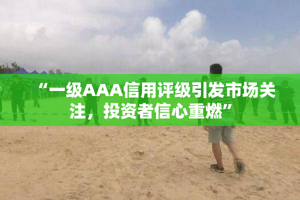 “一级AAA信用评级引发市场关注，投资者信心重燃”