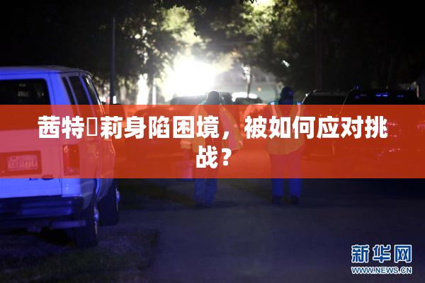 茜特菈莉身陷困境，被如何应对挑战？