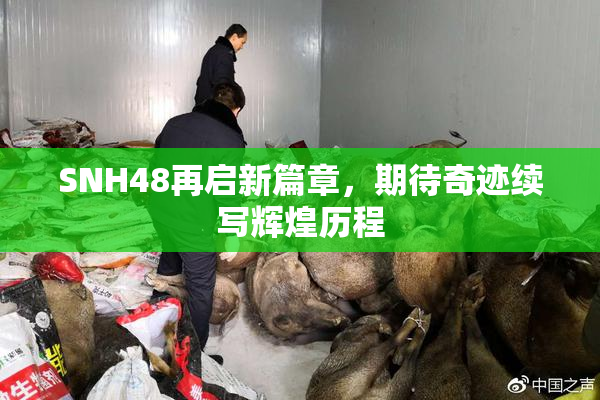 SNH48再启新篇章，期待奇迹续写辉煌历程
