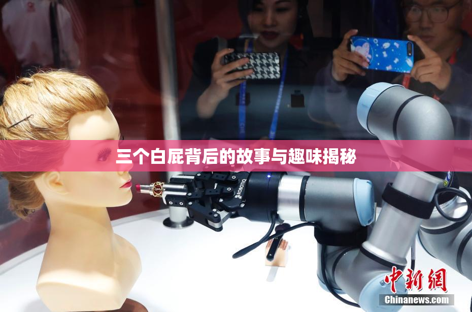 三个白屁背后的故事与趣味揭秘