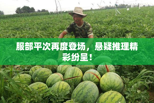 服部平次再度登场，悬疑推理精彩纷呈！