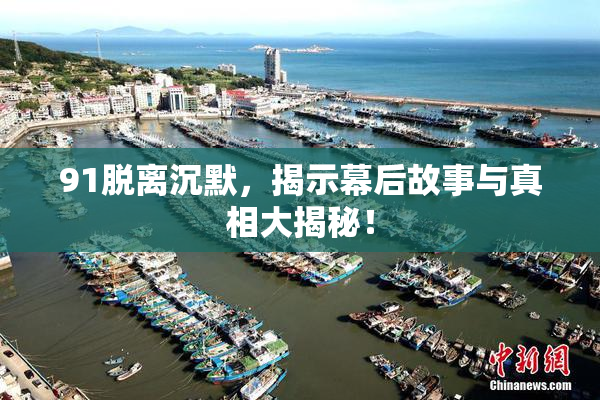 91脱离沉默，揭示幕后故事与真相大揭秘！