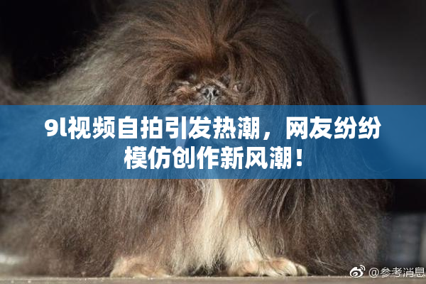 9l视频自拍引发热潮，网友纷纷模仿创作新风潮！