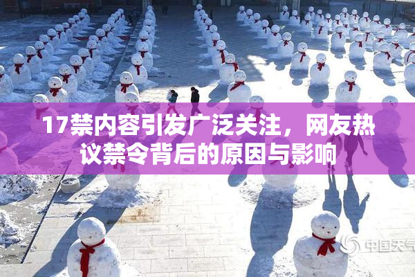 17禁内容引发广泛关注，网友热议禁令背后的原因与影响