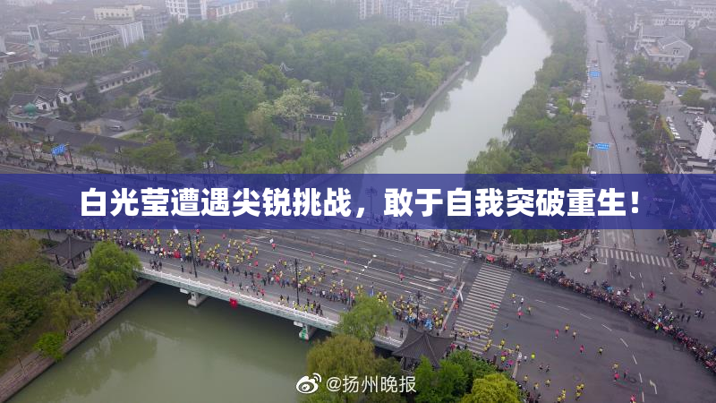 白光莹遭遇尖锐挑战，敢于自我突破重生！