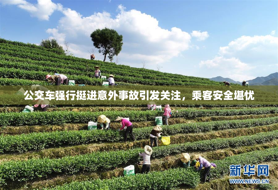 公交车强行挺进意外事故引发关注，乘客安全堪忧