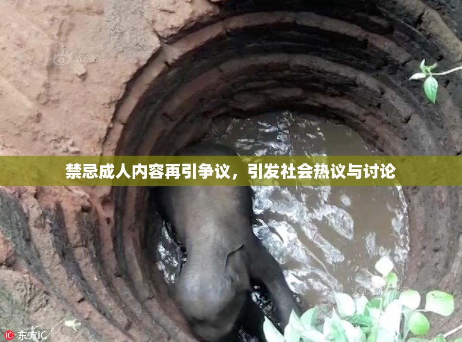 禁忌成人内容再引争议，引发社会热议与讨论
