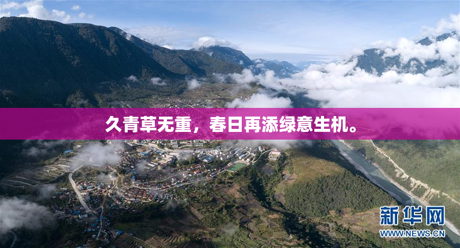 久青草无重，春日再添绿意生机。