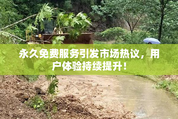 永久免费服务引发市场热议，用户体验持续提升！