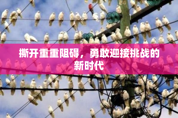 撕开重重阻碍，勇敢迎接挑战的新时代