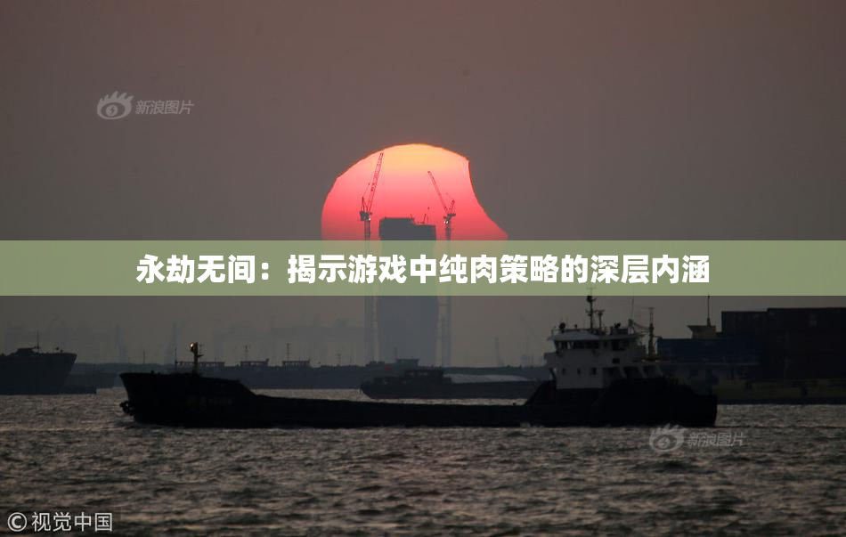 永劫无间：揭示游戏中纯肉策略的深层内涵