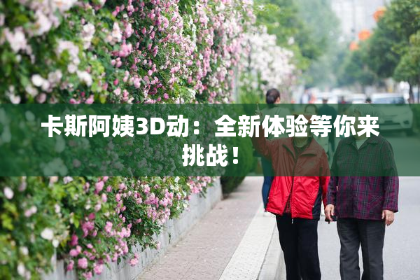 卡斯阿姨3D动：全新体验等你来挑战！