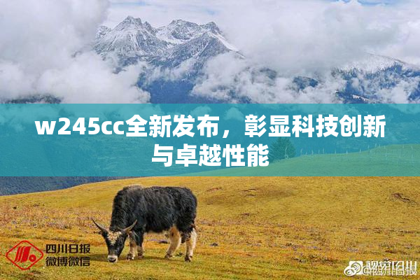 w245cc全新发布，彰显科技创新与卓越性能
