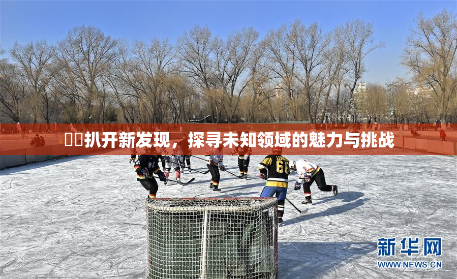 妺妺扒开新发现，探寻未知领域的魅力与挑战