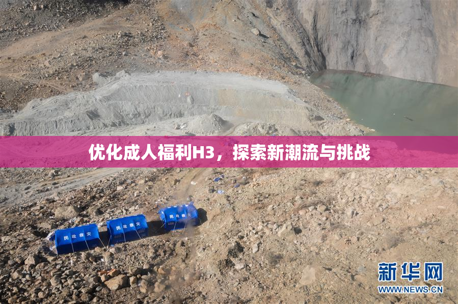 优化成人福利H3，探索新潮流与挑战