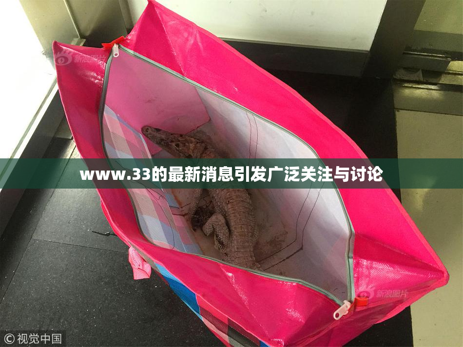 www.33的最新消息引发广泛关注与讨论