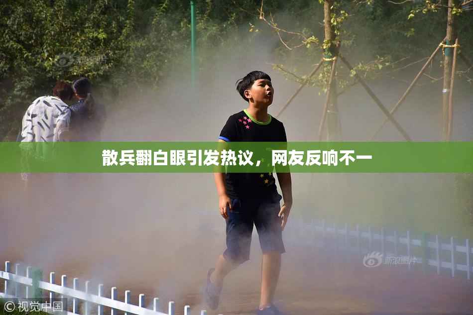 散兵翻白眼引发热议，网友反响不一