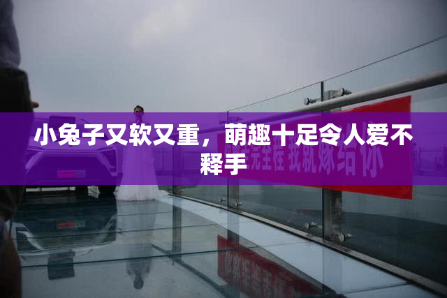 小兔子又软又重，萌趣十足令人爱不释手