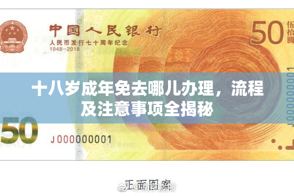 十八岁成年免去哪儿办理，流程及注意事项全揭秘