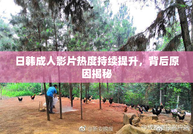日韩成人影片热度持续提升，背后原因揭秘