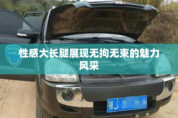 性感大长腿展现无拘无束的魅力风采