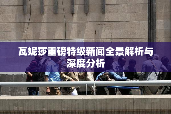 瓦妮莎重磅特级新闻全景解析与深度分析