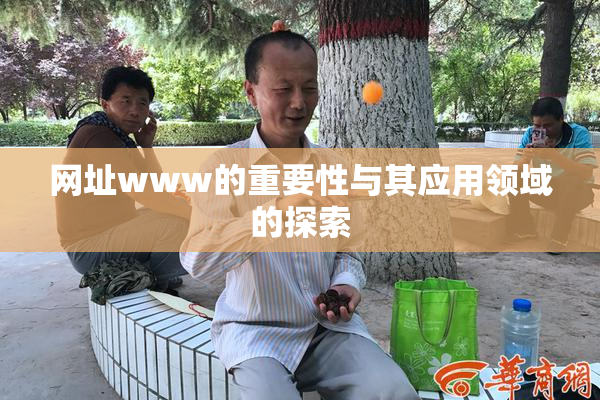 网址www的重要性与其应用领域的探索