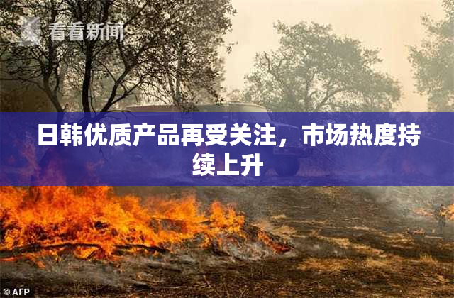 日韩优质产品再受关注，市场热度持续上升