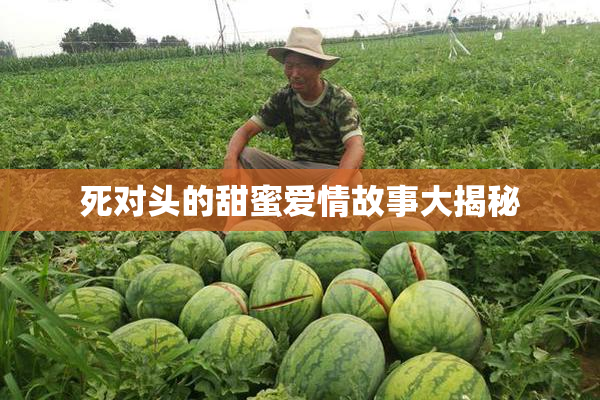 死对头的甜蜜爱情故事大揭秘