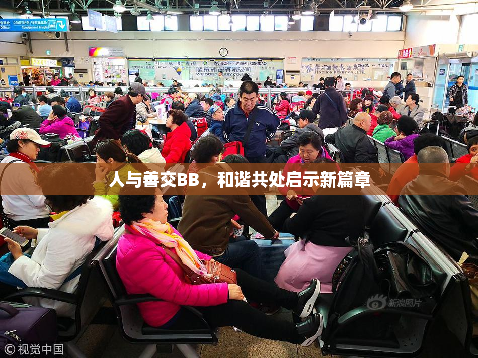 人与善交BB，和谐共处启示新篇章