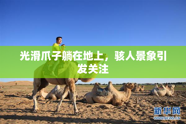 光滑爪子躺在地上，骇人景象引发关注