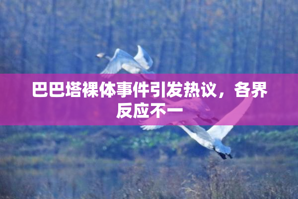巴巴塔裸体事件引发热议，各界反应不一