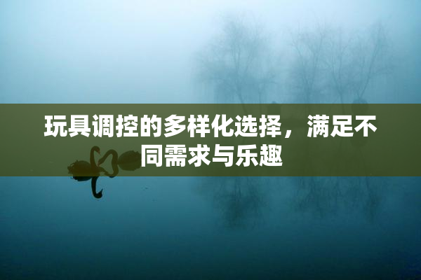 玩具调控的多样化选择，满足不同需求与乐趣