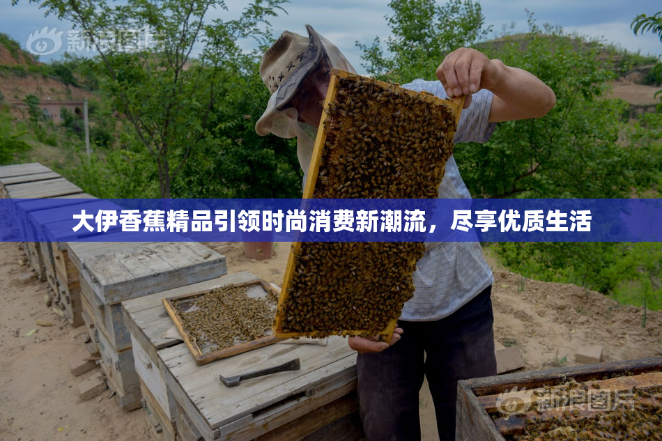 大伊香蕉精品引领时尚消费新潮流，尽享优质生活