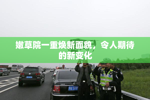 嫩草院一重焕新面貌，令人期待的新变化