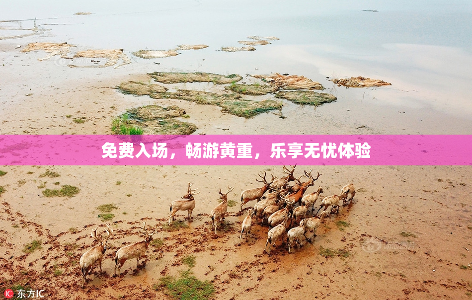 免费入场，畅游黄重，乐享无忧体验