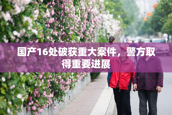 国产16处破获重大案件，警方取得重要进展