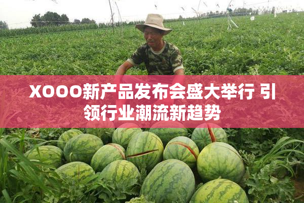 XOOO新产品发布会盛大举行 引领行业潮流新趋势