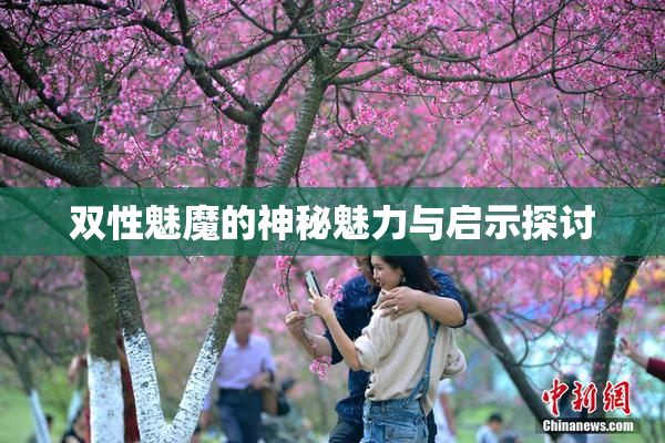 双性魅魔的神秘魅力与启示探讨