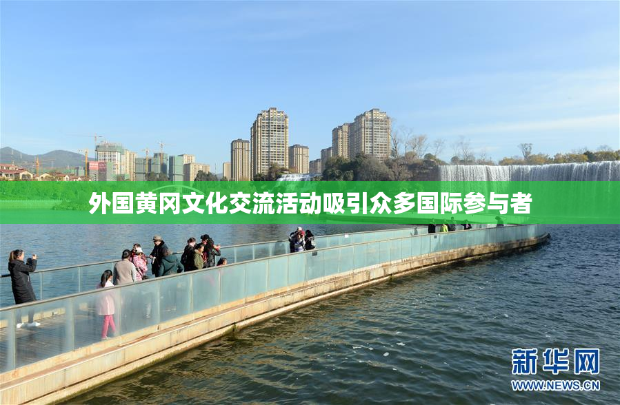 外国黄冈文化交流活动吸引众多国际参与者